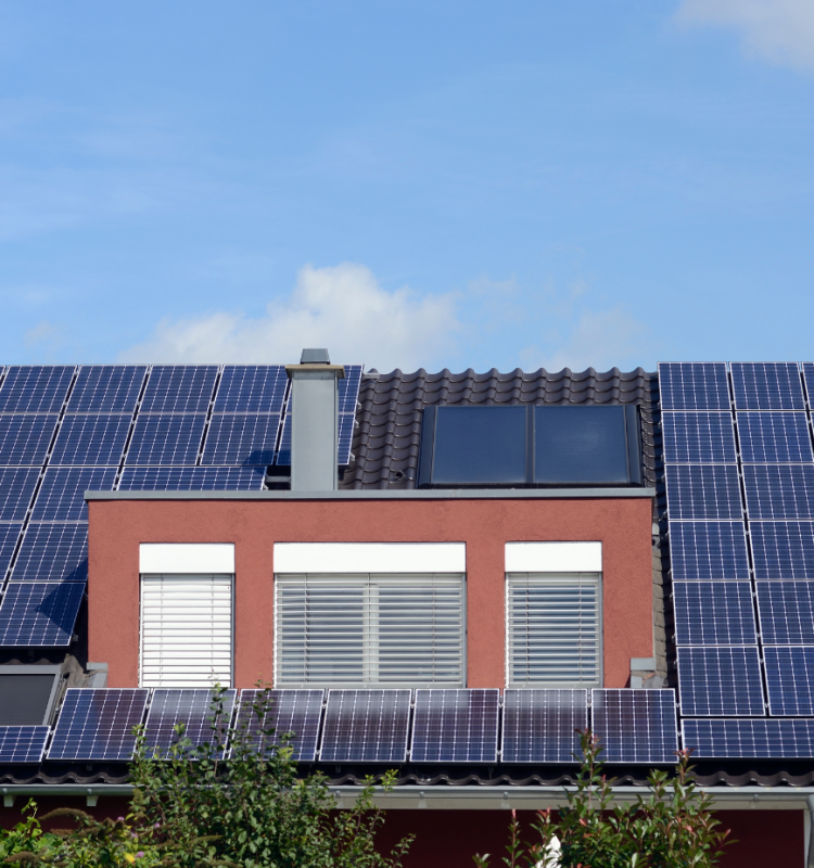 Untitled design (10)