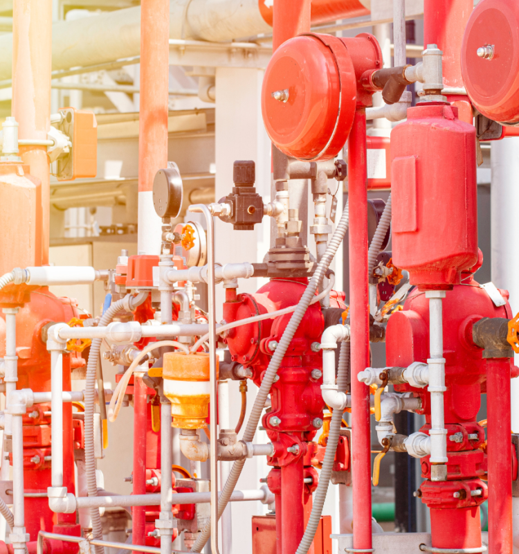 Untitled design (14)