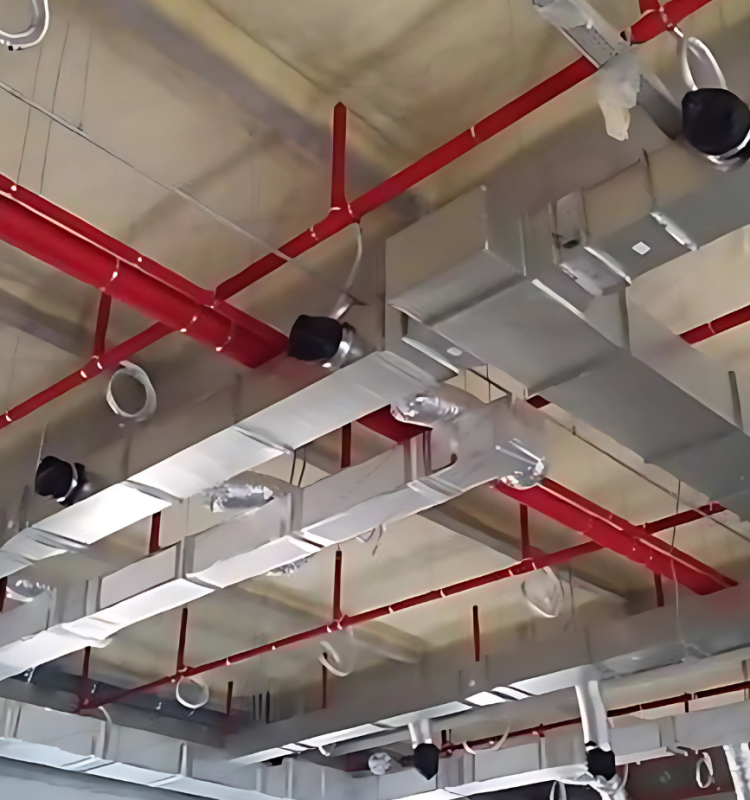 Untitled design (15)