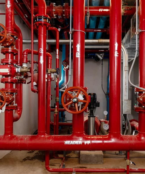 Untitled design (35)