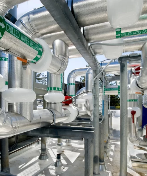 Untitled design (36)