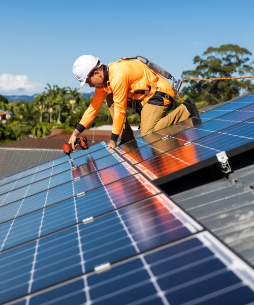 Untitled design (38)