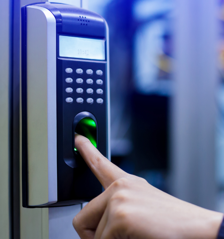 Untitled design (41)