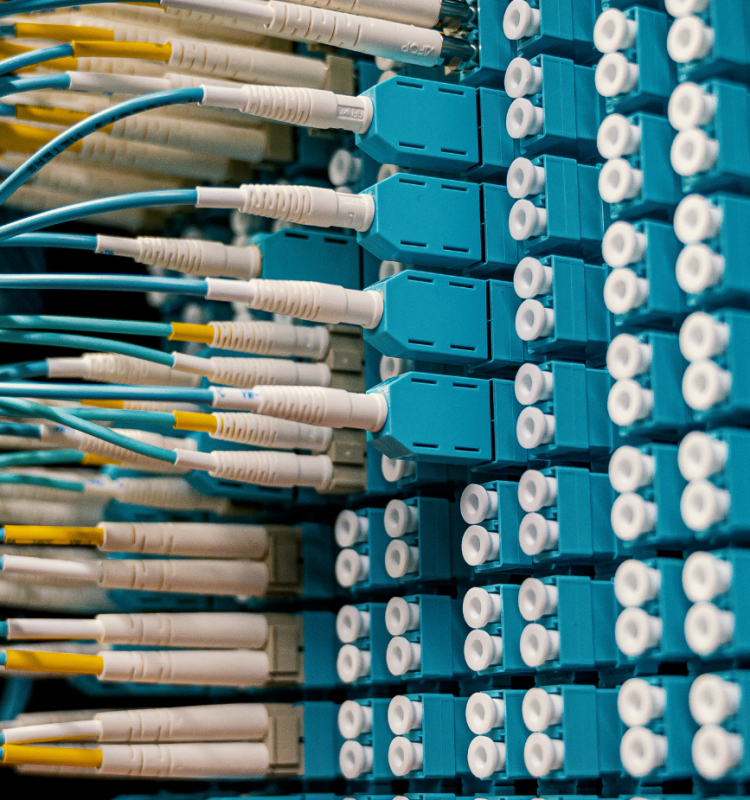 Untitled design (45)