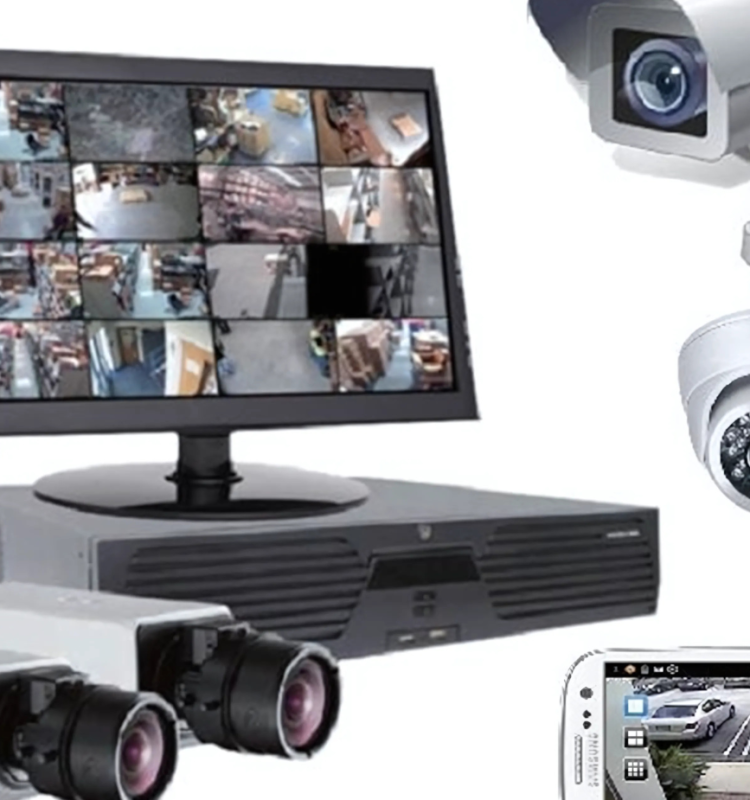 Untitled design (46)